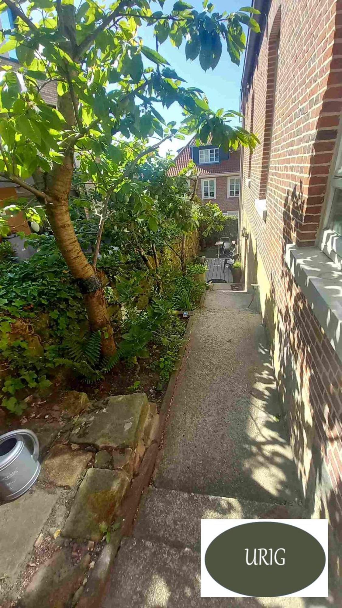 Bed Bentheim Apartment Bad Bentheim Exterior photo